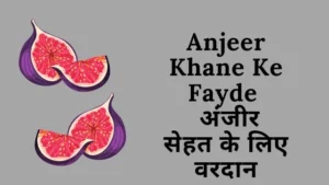 Anjeer Khane Ke Fayde 1 neuronsecret.com